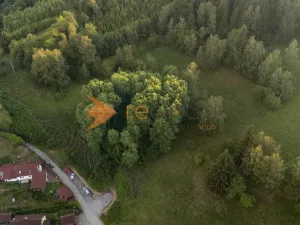 Prodej lesa, Větřní, 3373 m2