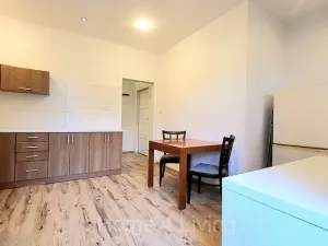 Pronájem bytu 1+1, Brno, Kartouzská, 46 m2