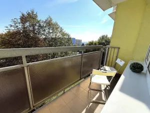Prodej bytu 1+kk, Brno, Okrouhlá, 32 m2