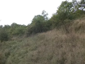 Dražba louky, Řehlovice, 22441 m2