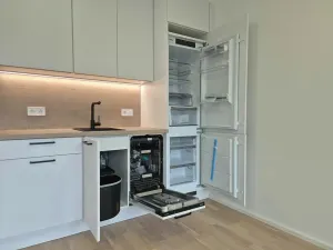 Prodej bytu 1+kk, Praha - Žižkov, Kaplířova, 44 m2