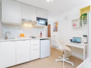 Prodej bytu 1+kk, Praha - Krč, Čerčanská, 15 m2