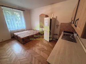 Pronájem bytu 2+kk, Plzeň, Francouzská třída, 36 m2