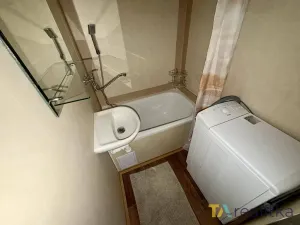 Pronájem bytu 1+kk, Orlová, Květinová, 31 m2