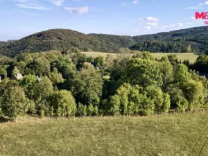 Prodej pozemku pro bydlení, Mírov, 3110 m2