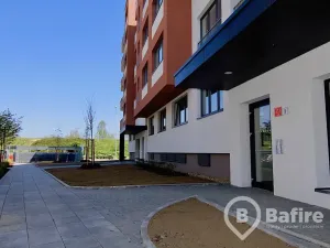 Pronájem - jiné, Olomouc, Edvarda Beneše, 13 m2