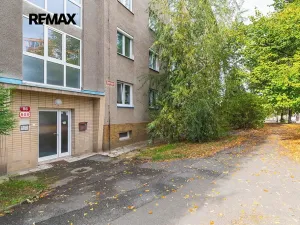 Prodej bytu 1+1, Plzeň, Revoluční, 40 m2