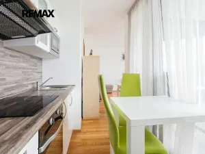 Pronájem bytu 1+kk, Praha - Žižkov, Ke kapslovně, 38 m2