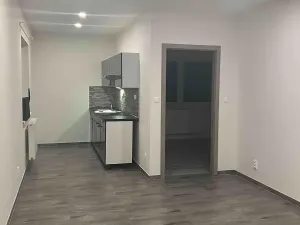 Pronájem bytu 2+kk, Libiš, Luční, 43 m2