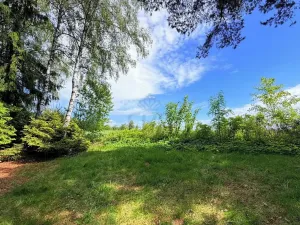 Prodej chaty, Borová, 53 m2