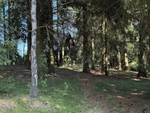 Prodej chaty, Borová, 53 m2