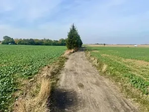 Prodej pole, Praha - Liboc, Na Padesátníku I, 24066 m2