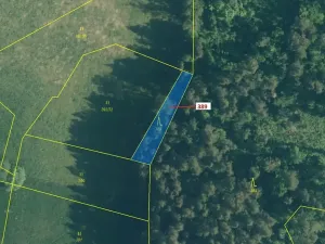 Dražba lesa, Zavlekov, 332 m2