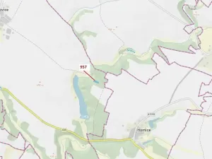 Dražba lesa, Mladoňovice, 2344 m2