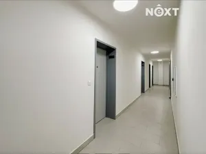 Pronájem bytu 1+kk, České Budějovice, Chelčického, 38 m2