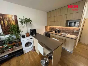 Pronájem bytu 1+kk, Strakonice - Přední Ptákovice, Šumavská, 28 m2