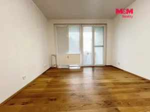 Pronájem bytu 1+kk, Strakonice - Přední Ptákovice, Šumavská, 28 m2
