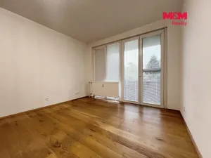 Pronájem bytu 1+kk, Strakonice - Přední Ptákovice, Šumavská, 28 m2