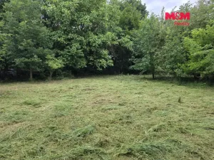 Prodej pozemku pro bydlení, Bor - Boječnice, 1093 m2