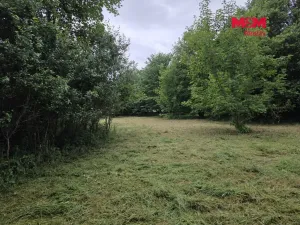 Prodej pozemku pro bydlení, Bor - Boječnice, 1093 m2