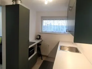 Pronájem bytu 1+kk, Brno, Brigádnická, 20 m2