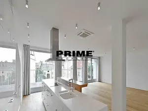 Pronájem bytu 4+kk, Praha - Vinohrady, Laubova, 200 m2