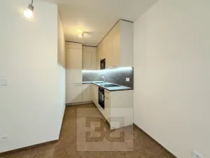 Pronájem bytu 2+kk, Praha - Vysočany, Gerstelova, 55 m2