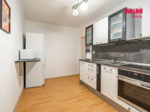 Pronájem bytu 1+1, Bechyně, Na Libuši, 46 m2
