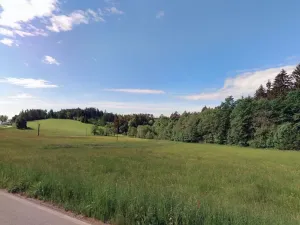 Prodej louky, Dalečín, 12868 m2