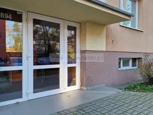 Pronájem bytu 1+1, Česká Třebová, Habrmanova, 38 m2