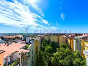 Pronájem bytu 5+1, Praha - Vinohrady, Kladská, 230 m2