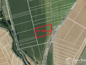 Prodej pole, Rájec-Jestřebí, 11159 m2