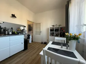 Prodej bytu 1+1, Brno, Lidická, 48 m2