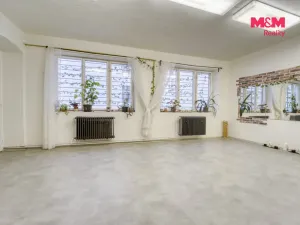 Pronájem obchodního prostoru, Plzeň - Vnitřní Město, Veleslavínova, 95 m2