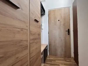 Pronájem bytu 1+kk, Ústí nad Labem - Ústí nad Labem-centrum, Hoření, 21 m2