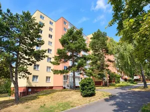 Prodej bytu 3+1, Brno, Vltavská, 65 m2