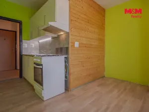 Prodej bytu 1+1, Karviná - Nové Město, Jaroslava Vrchlického, 39 m2