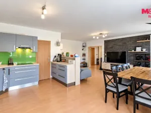 Pronájem bytu 4+kk, Písek - Budějovické Předměstí, Janotova, 110 m2