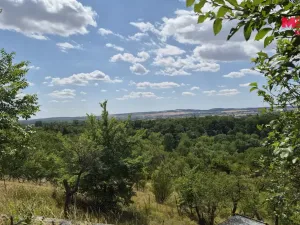 Prodej zahrady, Brno - Brněnské Ivanovice, 1358 m2
