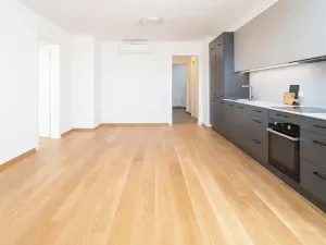 Pronájem bytu 2+kk, Praha - Žižkov, Jeronýmova, 69 m2