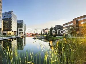 Pronájem kanceláře, Brno, 240 m2