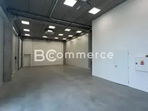 Pronájem obchodního prostoru, Brno, 235 m2