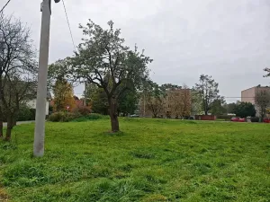 Prodej pozemku pro bydlení, Kunín, 800 m2