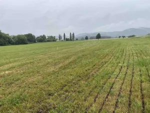 Prodej pole, Rabí - Bojanovice, 22978 m2