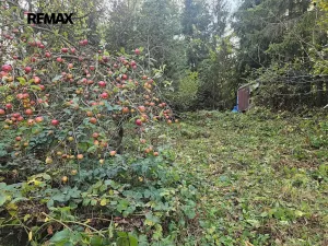 Prodej pozemku pro bydlení, Česká Třebová, 852 m2