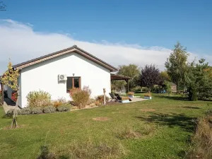 Prodej rodinného domu, Křenice, V Zahradách, 99 m2