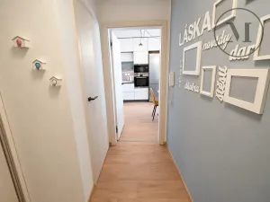 Prodej bytu 3+kk, Borek, Dlouhá, 68 m2