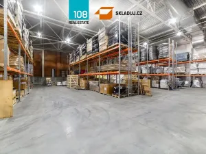 Pronájem skladu, Pardubice, Dělnická, 11104 m2
