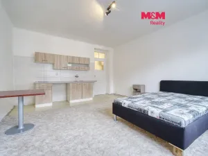 Pronájem bytu 1+kk, Plzeň - Východní Předměstí, Sladkovského, 30 m2