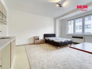 Pronájem bytu 1+kk, Plzeň - Východní Předměstí, Sladkovského, 30 m2